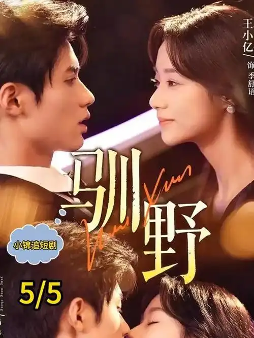 免费影院犯罪剧集雾港档案